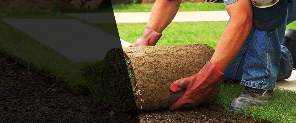 Interlachen Landscapers